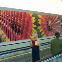 2003-03-27 Love Field Art 3179